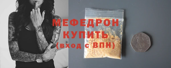 spice Богородицк